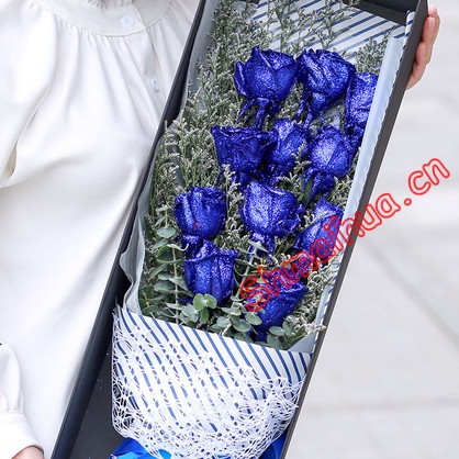 钟爱一生-11朵蓝色妖姬，情人草、尤加利叶点缀，白色鸟巢纸包装，精美蝴蝶结，高档礼盒